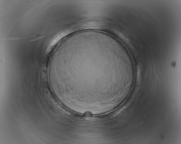 X0000116131453200912211705