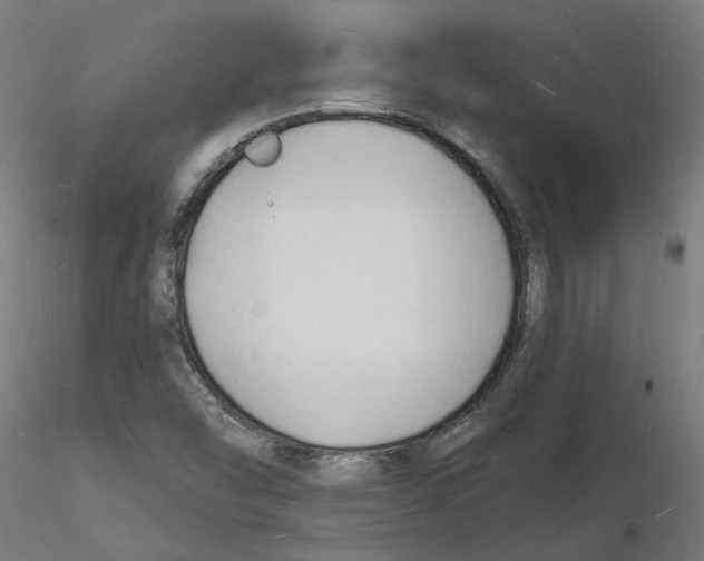 X0000116131454200912211705