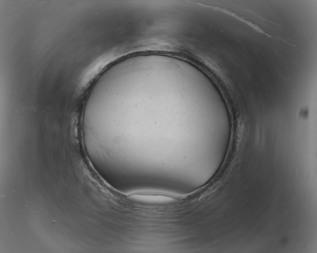 X0000116131455200912211705