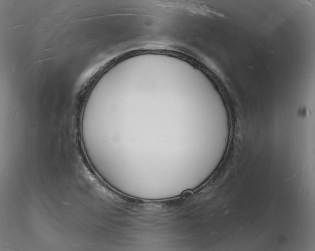 X0000116131456200912211705