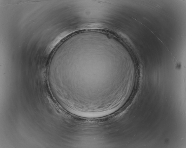 X0000116131457200912211705