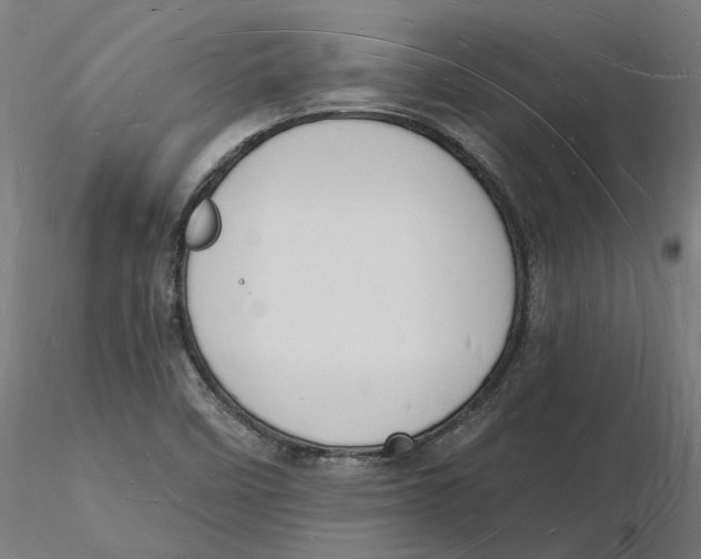 X0000116131458200912211705