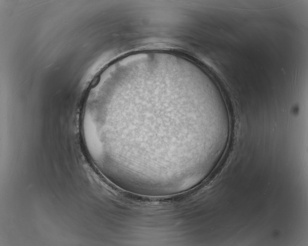 X0000116131459200912211705