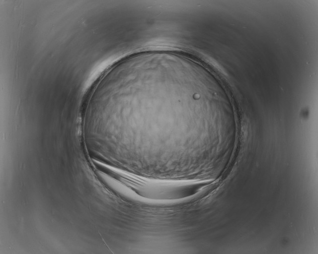 X0000116131461200912211705