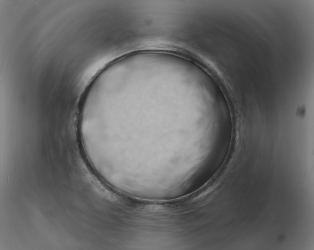 X0000116131463200912211705