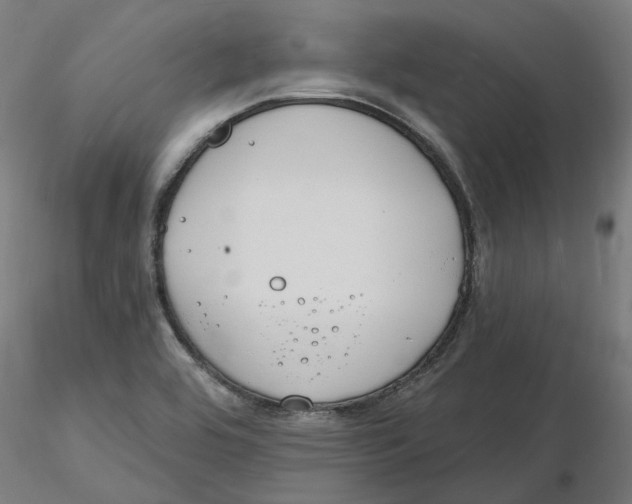 X0000116131464200912211705