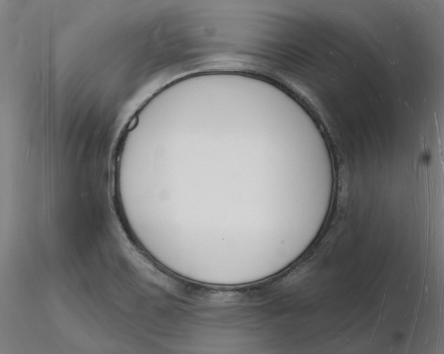 X0000116131467200912211705