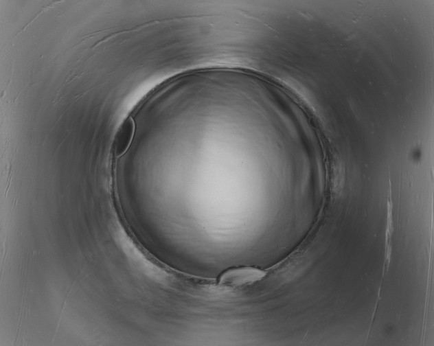 X0000116131468200912211705