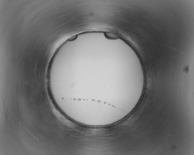X0000116131471200912211705