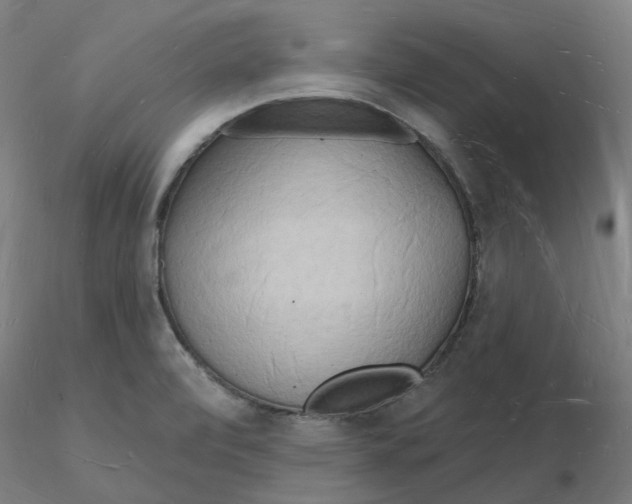 X0000116131472200912211705