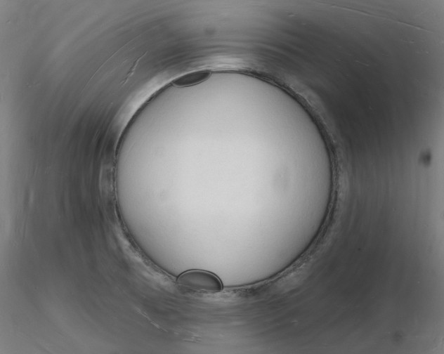 X0000116131473200912211705