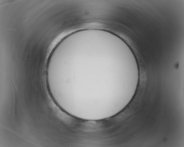 X0000116131478200912211705