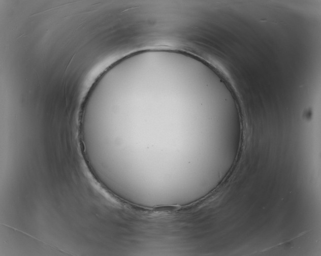 X0000116131480200912211705