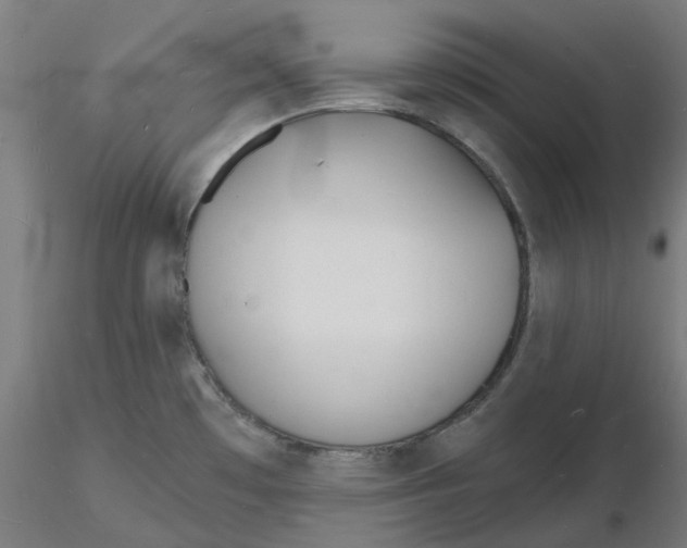 X0000116131481200912211705
