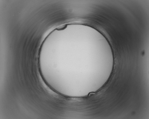 X0000116131483200912211705