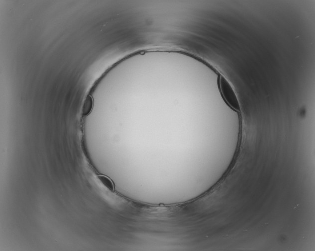 X0000116131485200912211705