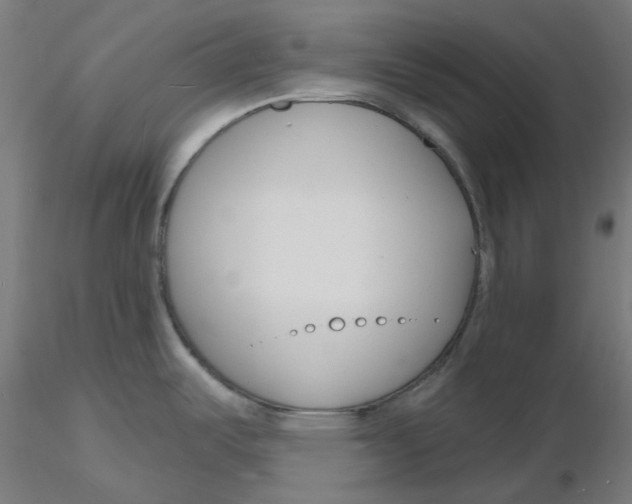 X0000116131487200912211705