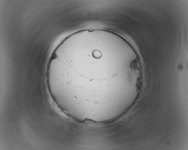 X0000116131488200912211705