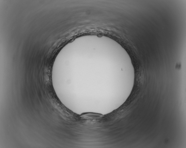 X0000116131490200912211704
