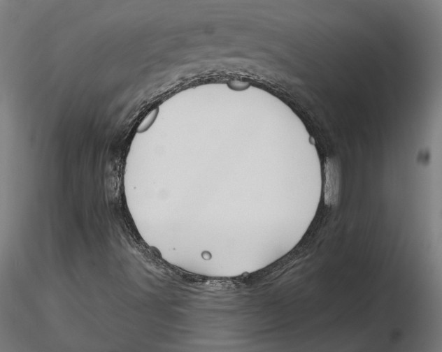 X0000116131491200912211704