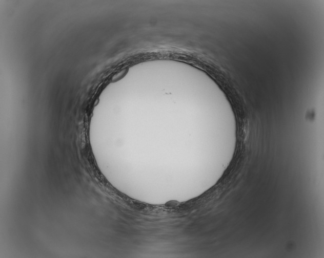 X0000116131493200912211704