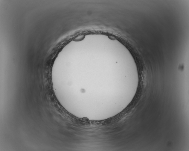 X0000116131494200912211704