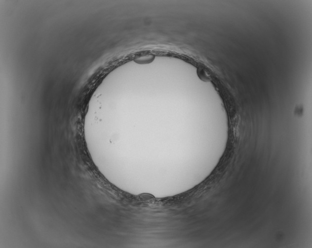 X0000116131495200912211704