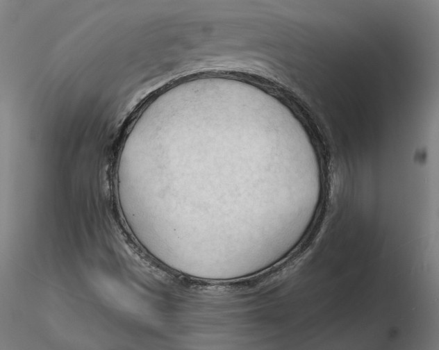 X0000116131497200912211704