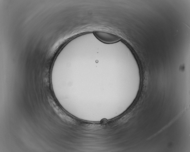 X0000116131499200912211704