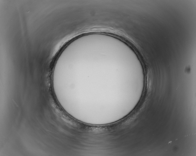 X0000116131501200912211704