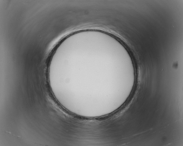 X0000116131502200912211704
