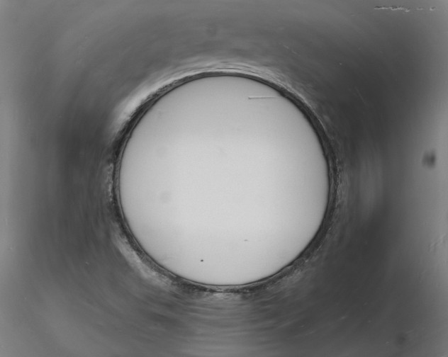 X0000116131503200912211704