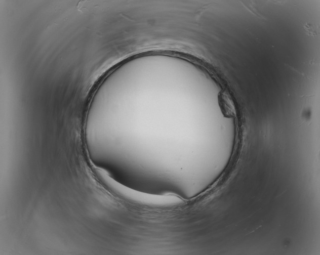 X0000116131505200912211704