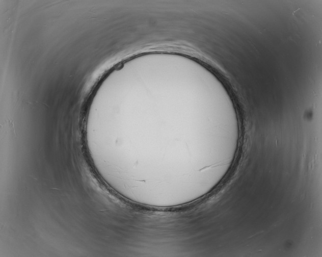X0000116131506200912211704