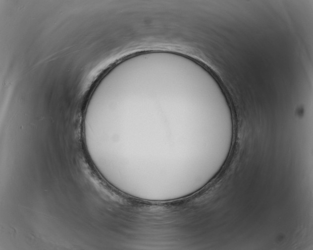 X0000116131507200912211704