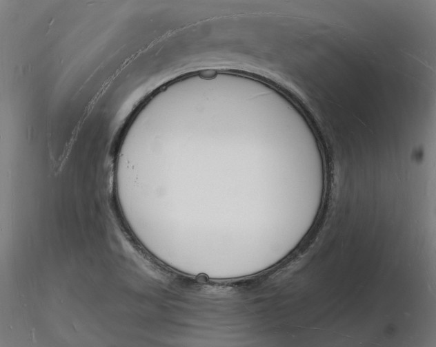 X0000116131509200912211704