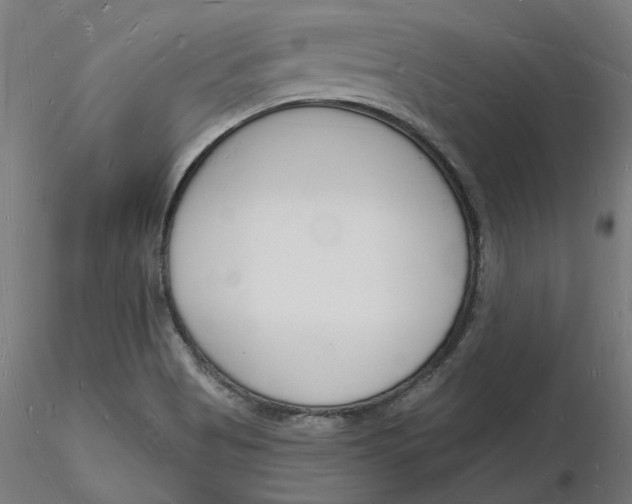 X0000116131513200912211704