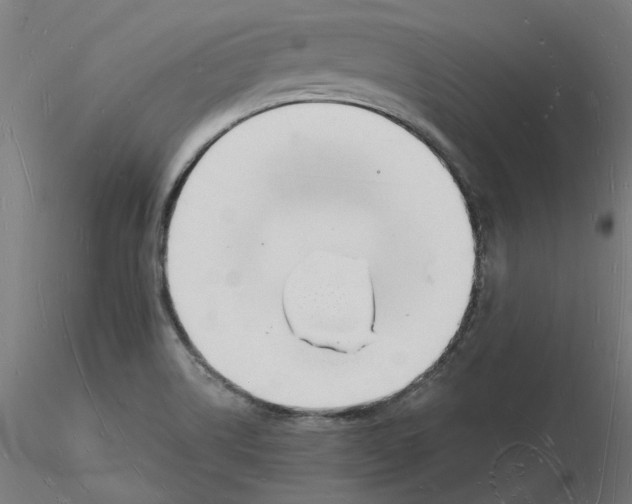X0000116131514200912211704