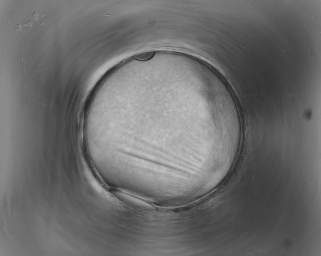 X0000116131515200912211704