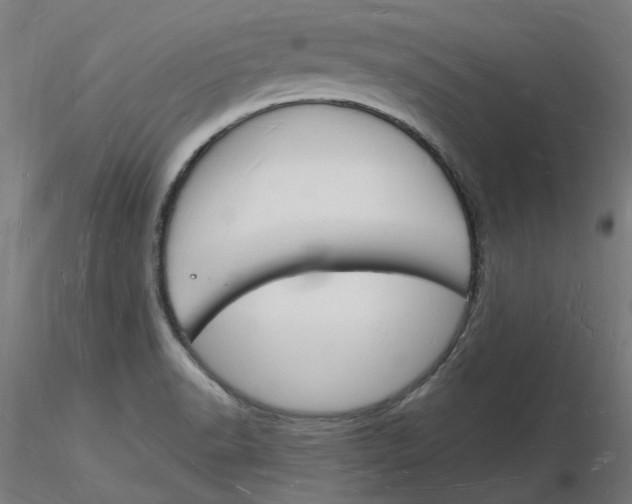 X0000116131518200912211704