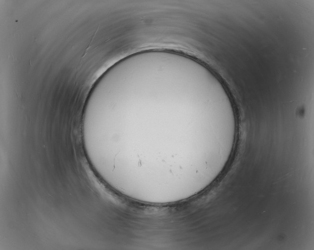 X0000116131521200912211704