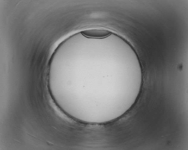 X0000116131526200912211704