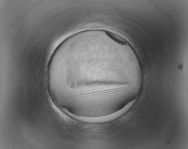 X0000116131527200912211704