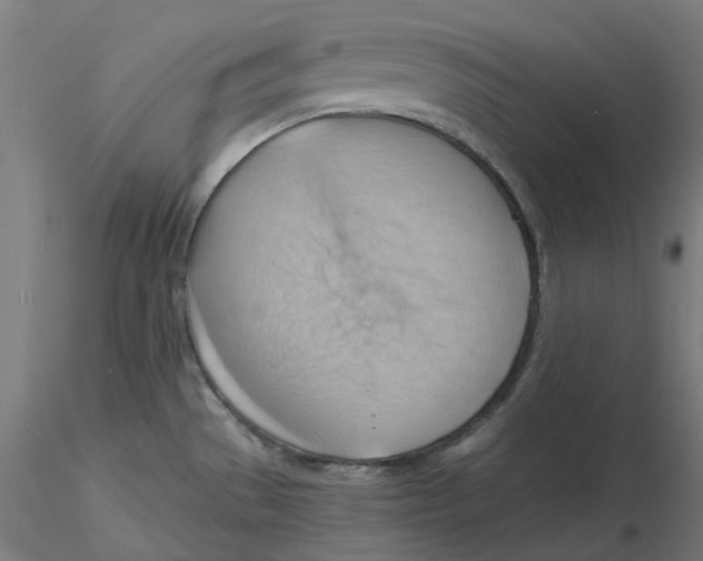 X0000116131529200912211704