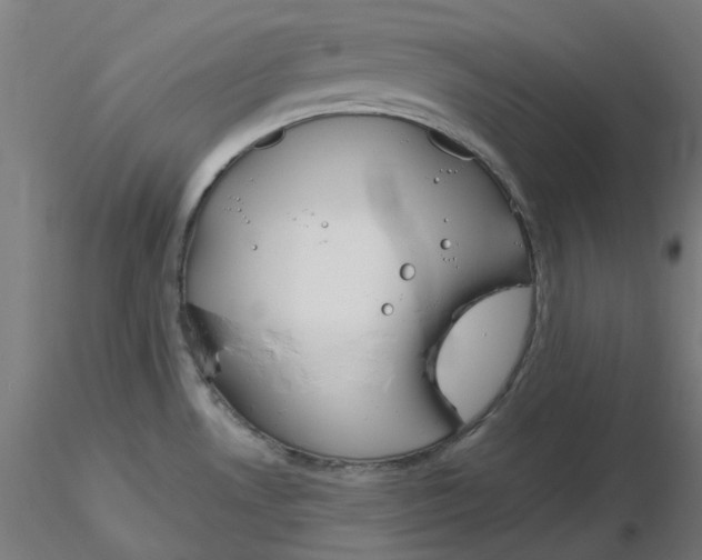 X0000116131530200912211704