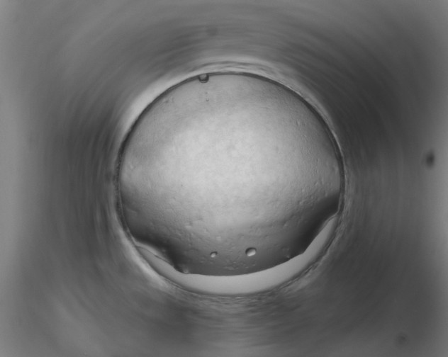 X0000116131533200912211704
