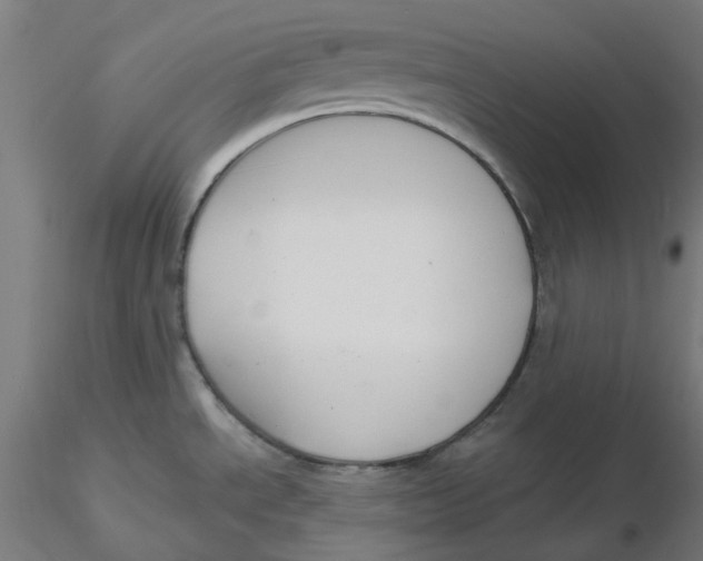 X0000116131534200912211704