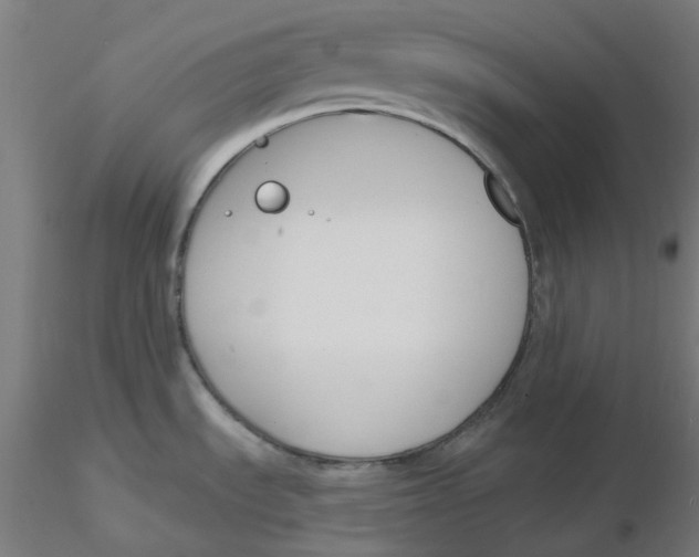 X0000116131535200912211705