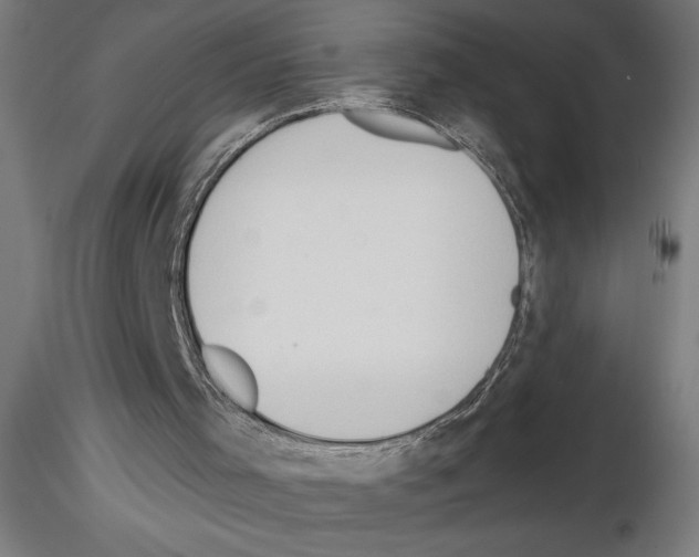 X0000116130001201001041021