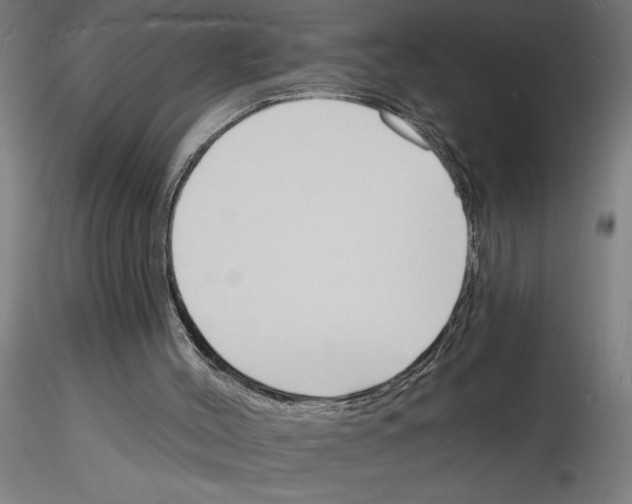 X0000116130004201001041021